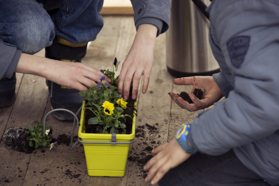 Kinderhände voller Erde, die sie in einen Blumenkasten füllen.