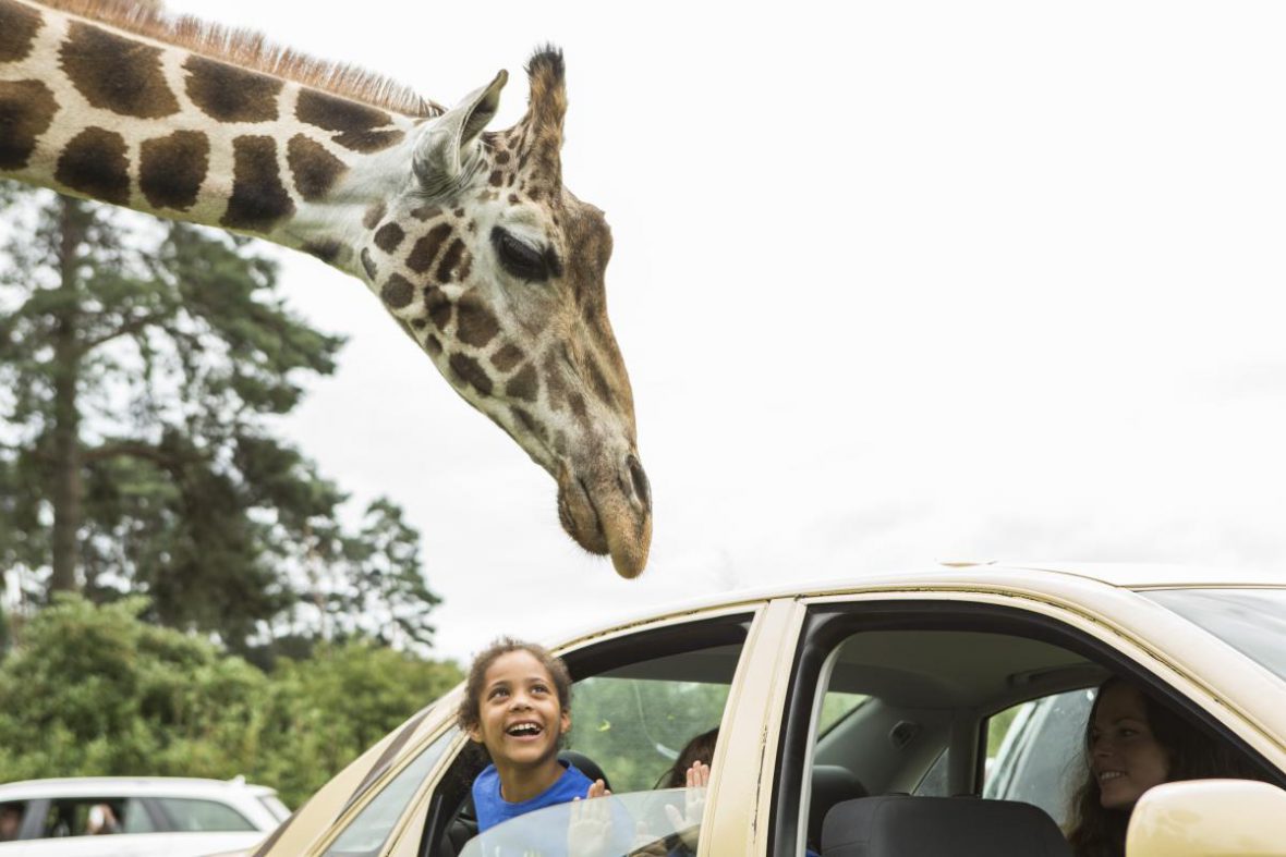 Serengeti-Park
