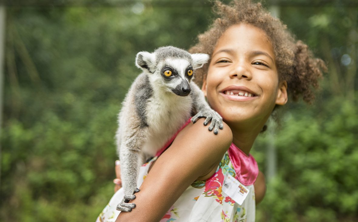 Ein Affe sitzt auf der Schulter eines Mädchens