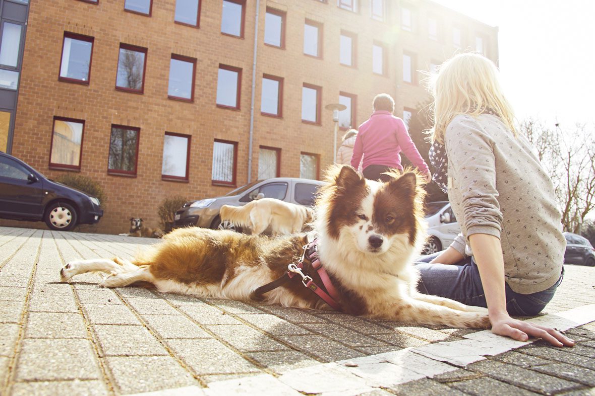 Ein Hund, der am Kurs teilnimmt, liegt in der Sonne neben seiner Halterin.