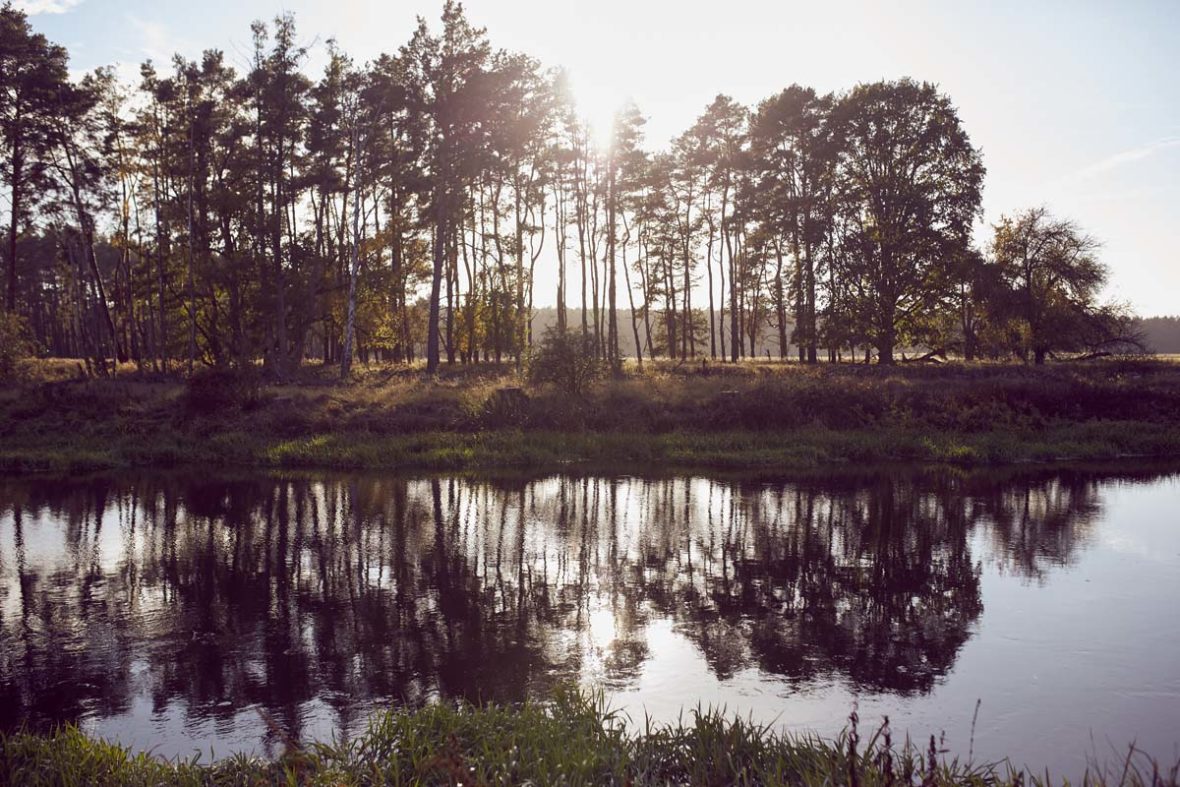 Blick in die Natur.