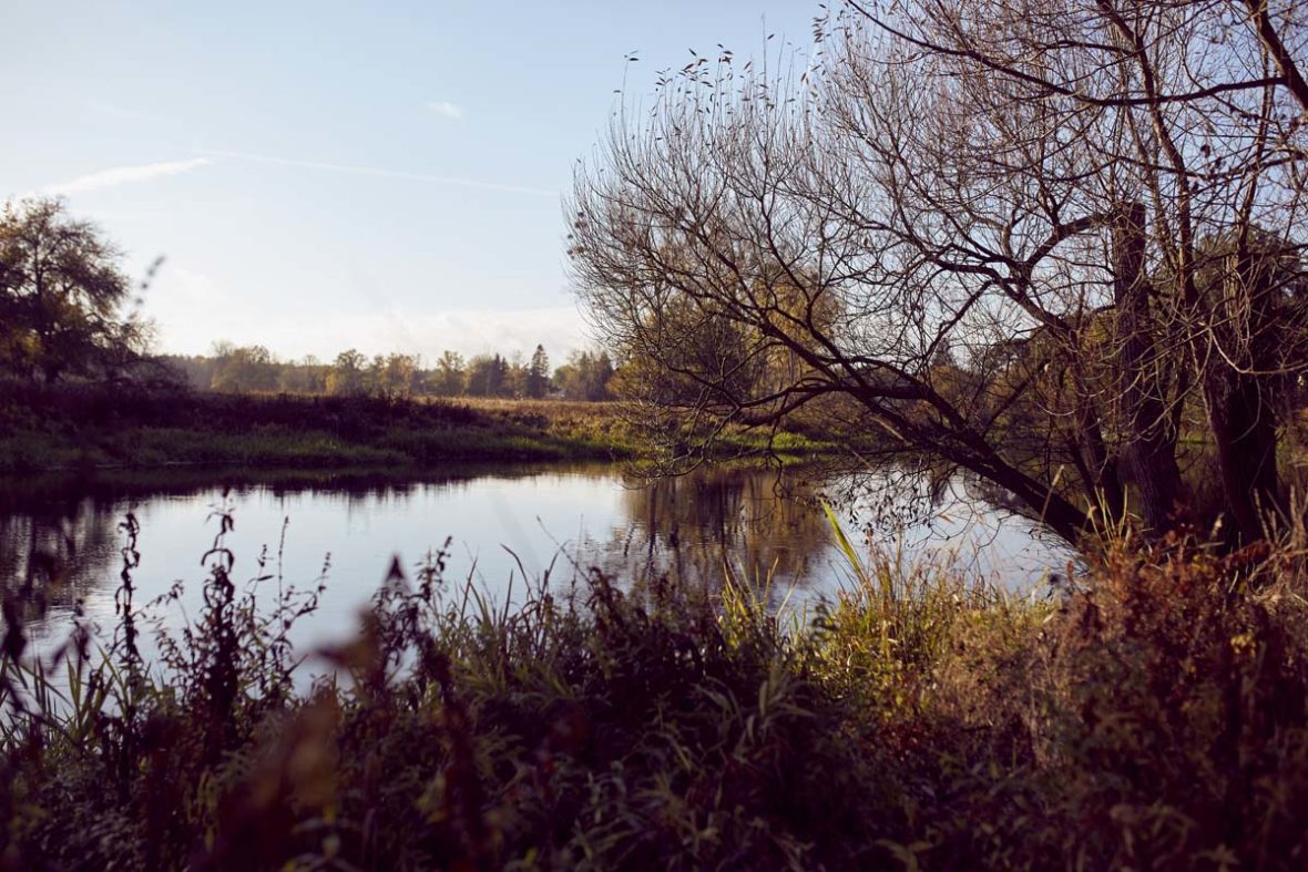 Blick in die Natur.