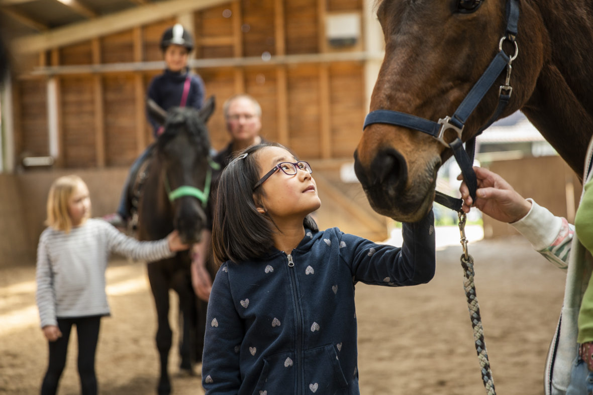 Mädchen mit Brille schaut zu braunem Pferd. Im Hintergrund steht ein Mann neben einem Pferd, auf dem ein Kind reitet.