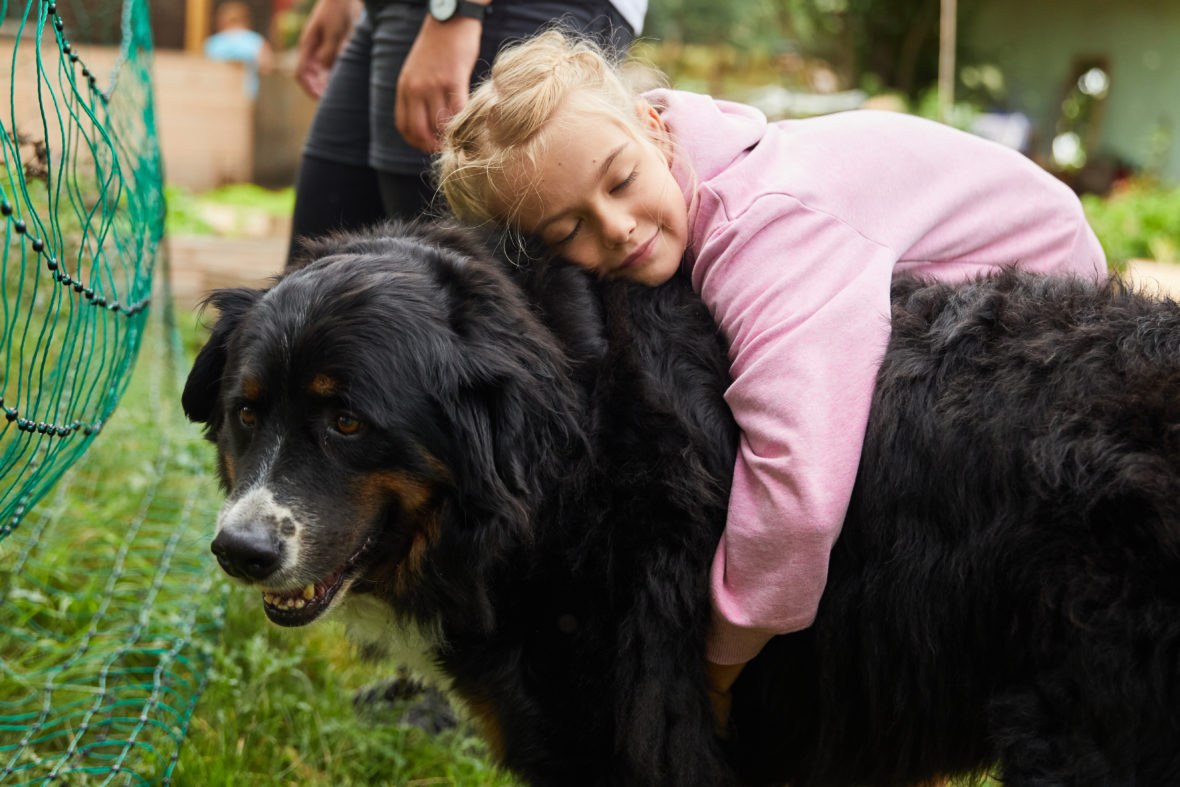 Foto: Ein junges Mädchen umarmt einen Berner Sennenhund