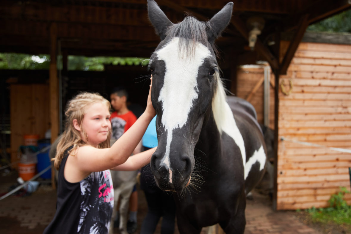 Foto: Ein Mädchen steht neben einem Pferd und streichelt es