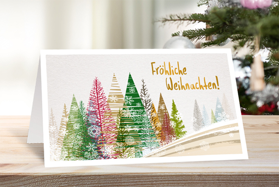 Das perfekte Geschenk: ein ganzes Jahr voller Chancen!